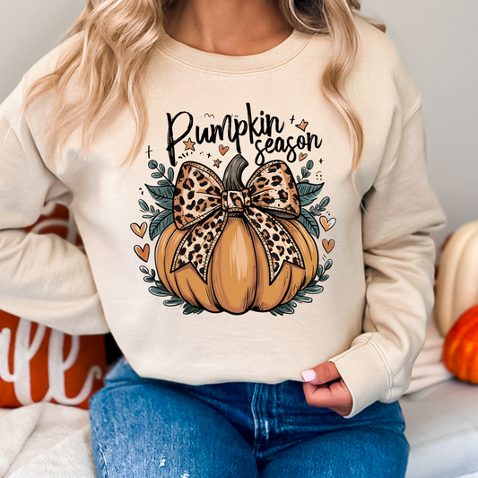 Pumpkin Season Sweatshirts